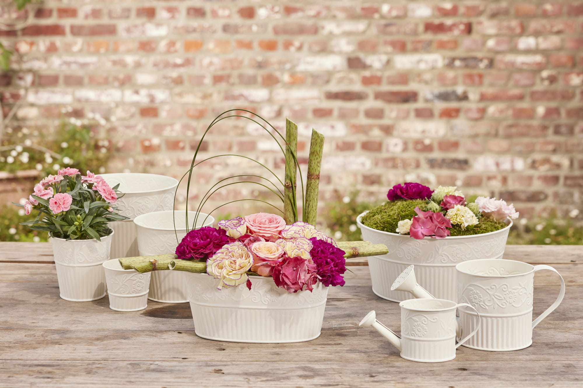 Zomer - Lente Collectie 2026