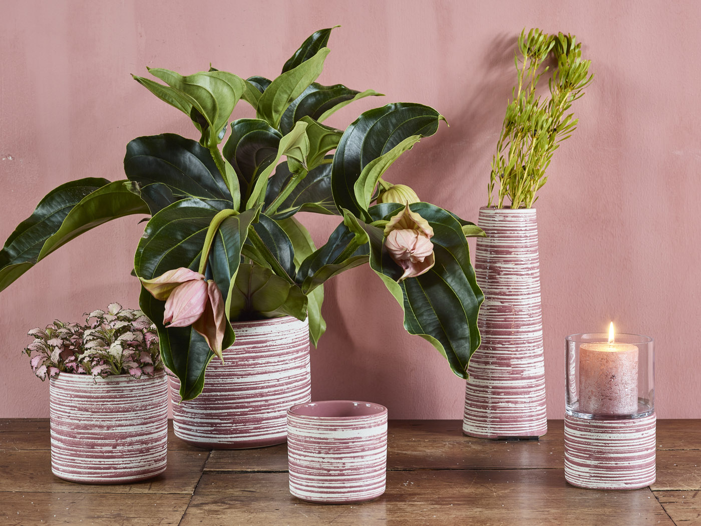 Berry, Berry Xmas collectie SimplyD Berry, Berry Xmas collectie SimplyD