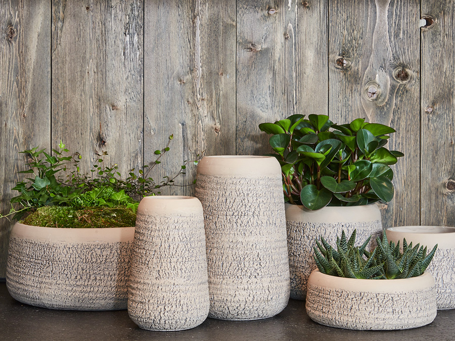 Blue moods - SimplyD collectie najaar 2021 Blue moods - SimplyD collectie najaar 2021