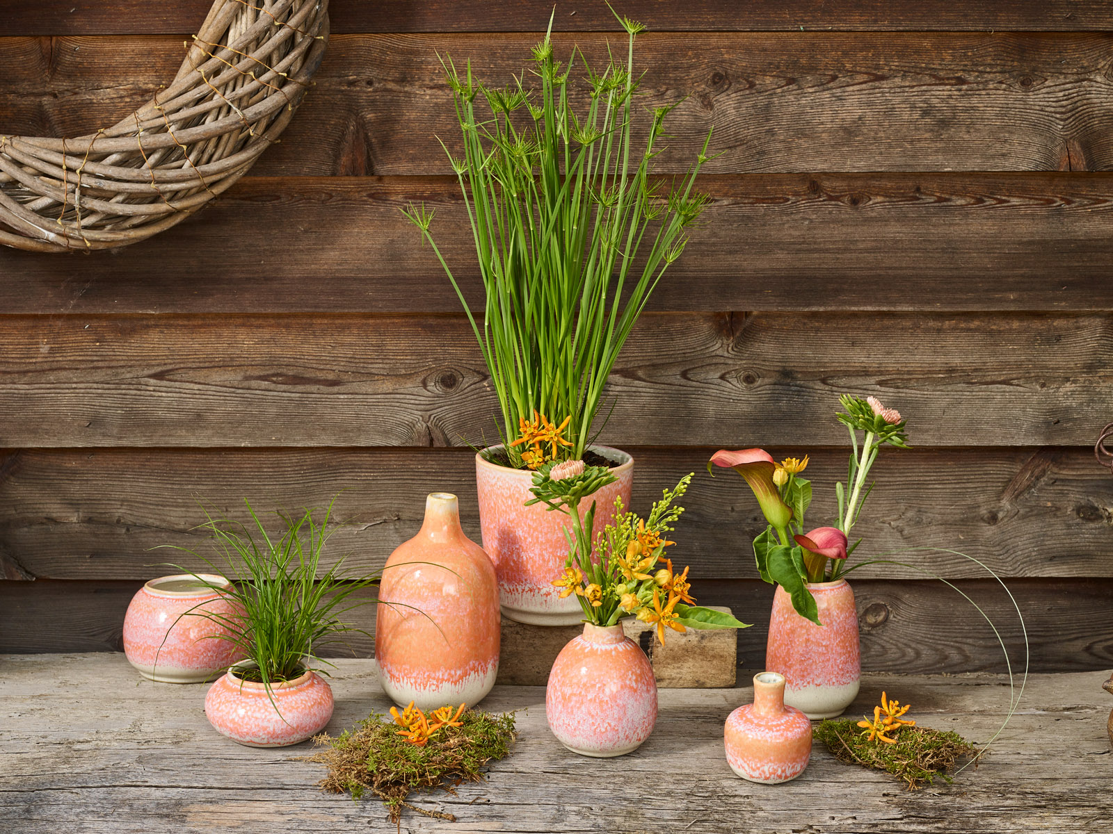 Corail vivant - Simply D collectie Corail vivant - Simply D collectie