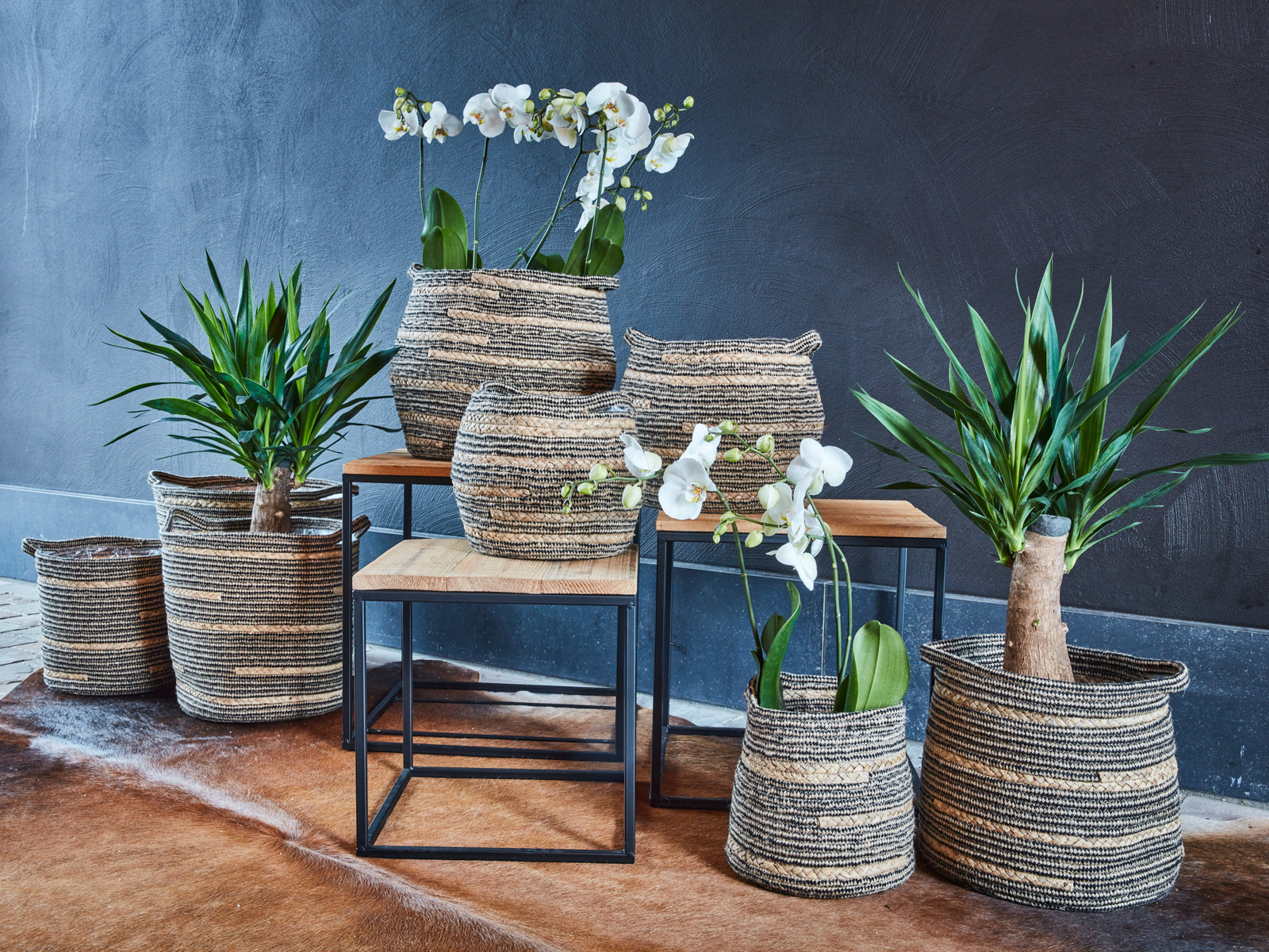 Evergreen - SimplyD collectie najaar 2021 Evergreen - SimplyD collectie najaar 2021