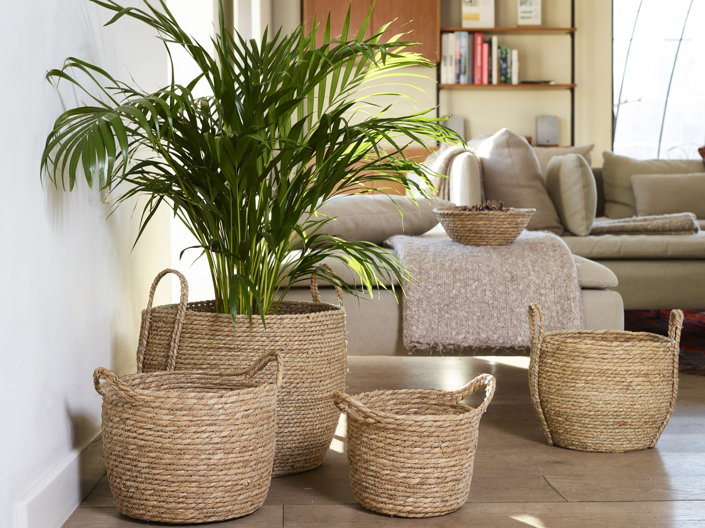 Forêt Mousse collectie – SimplyD Forêt Mousse collectie – SimplyD