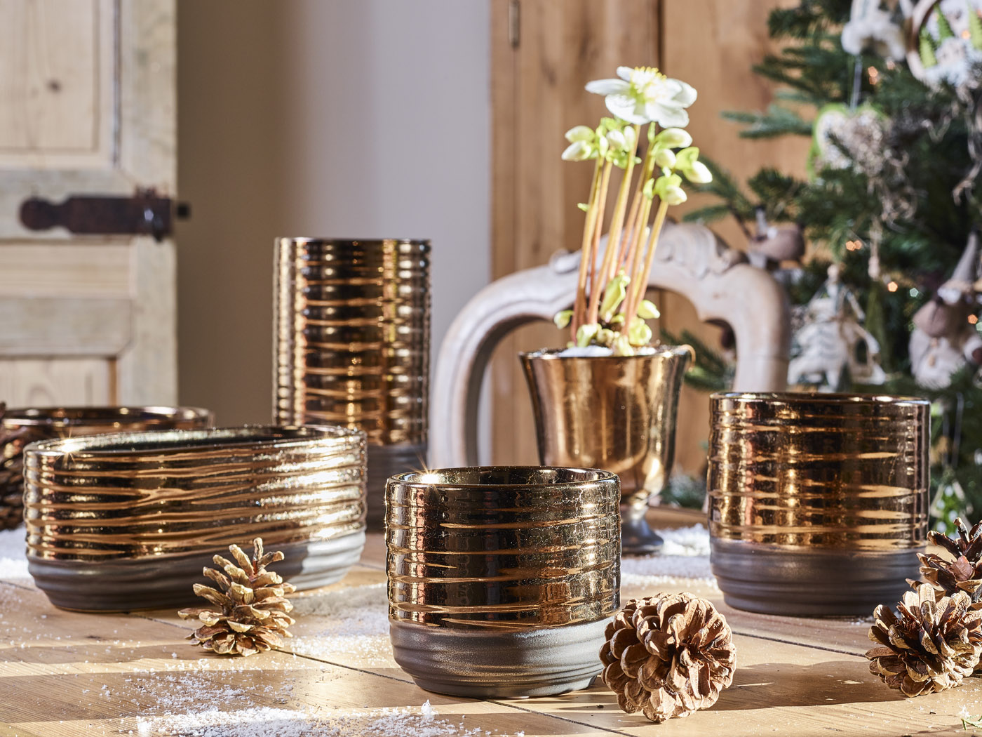 Forêt Mousse collectie – SimplyD Forêt Mousse collectie – SimplyD