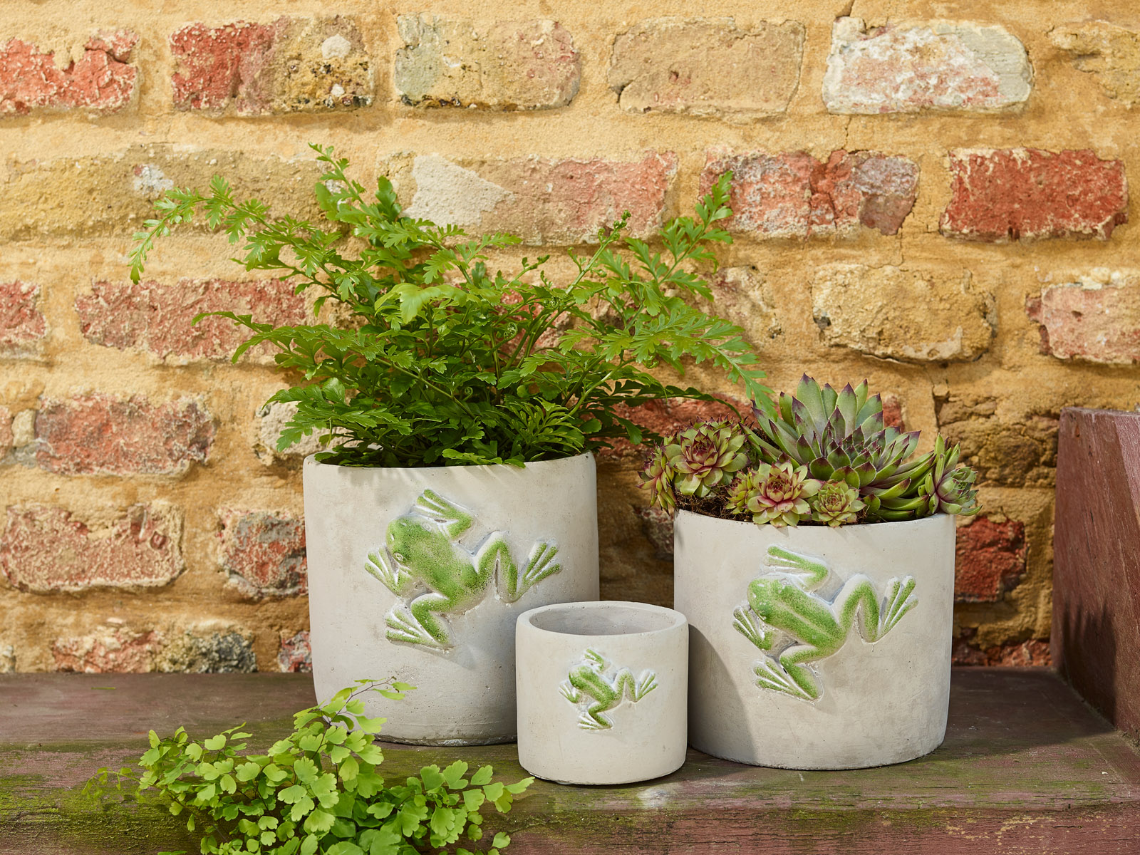Greenery - collectie Simply D Greenery - collectie Simply D