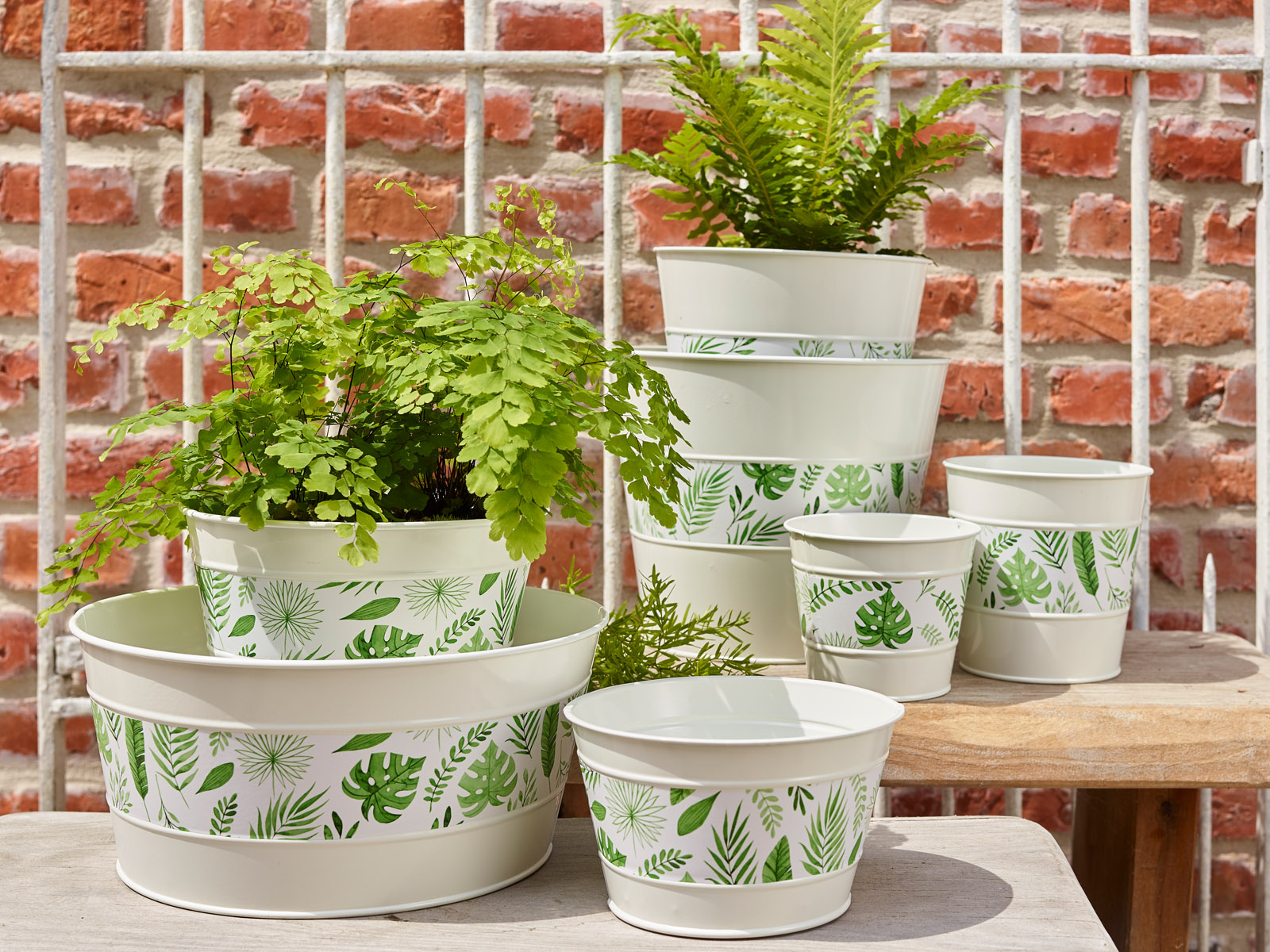 Greenery - collectie Simply D Greenery - collectie Simply D