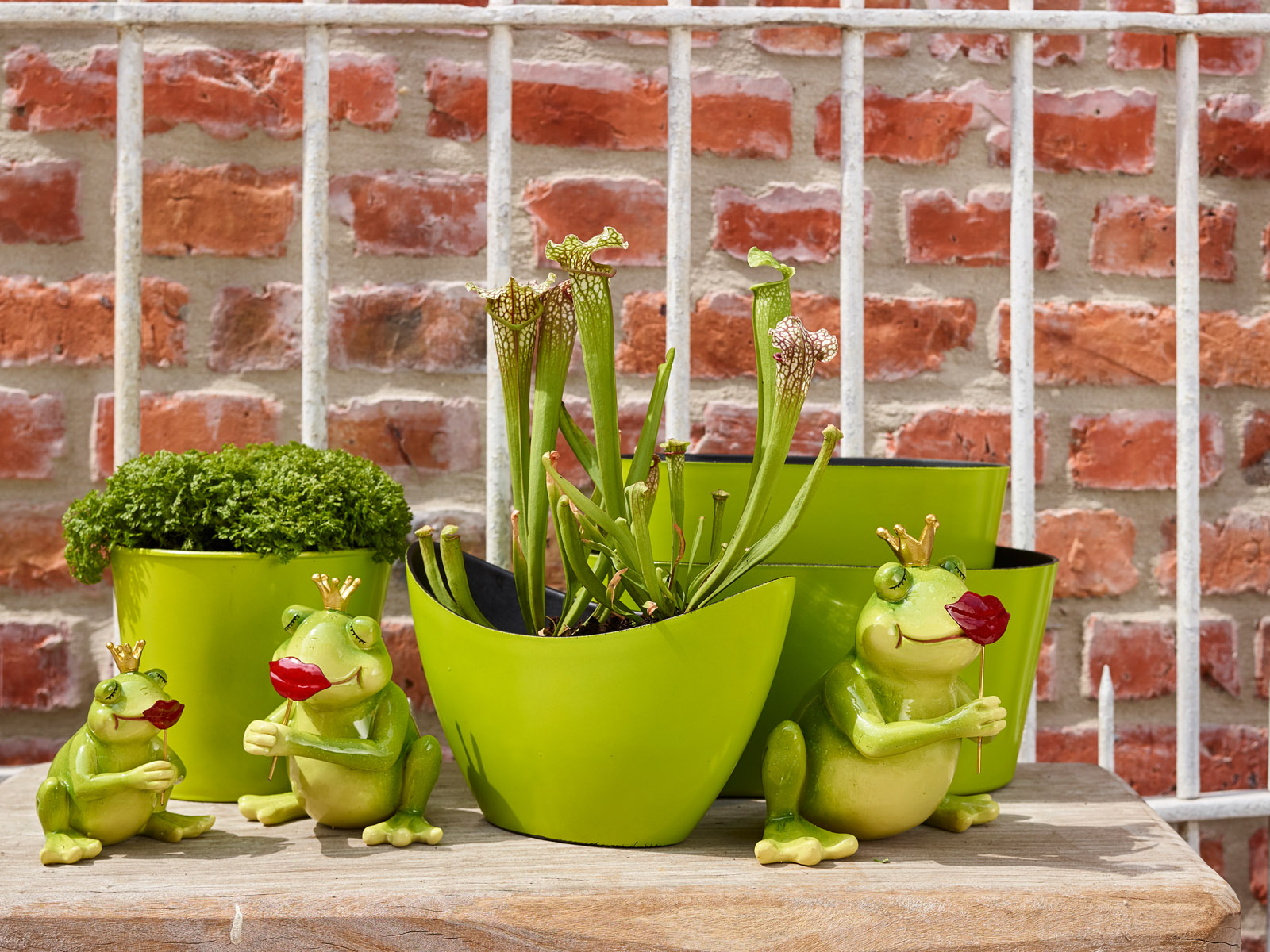 La vie en vert - Collectie Simply D La vie en vert - Collectie Simply D