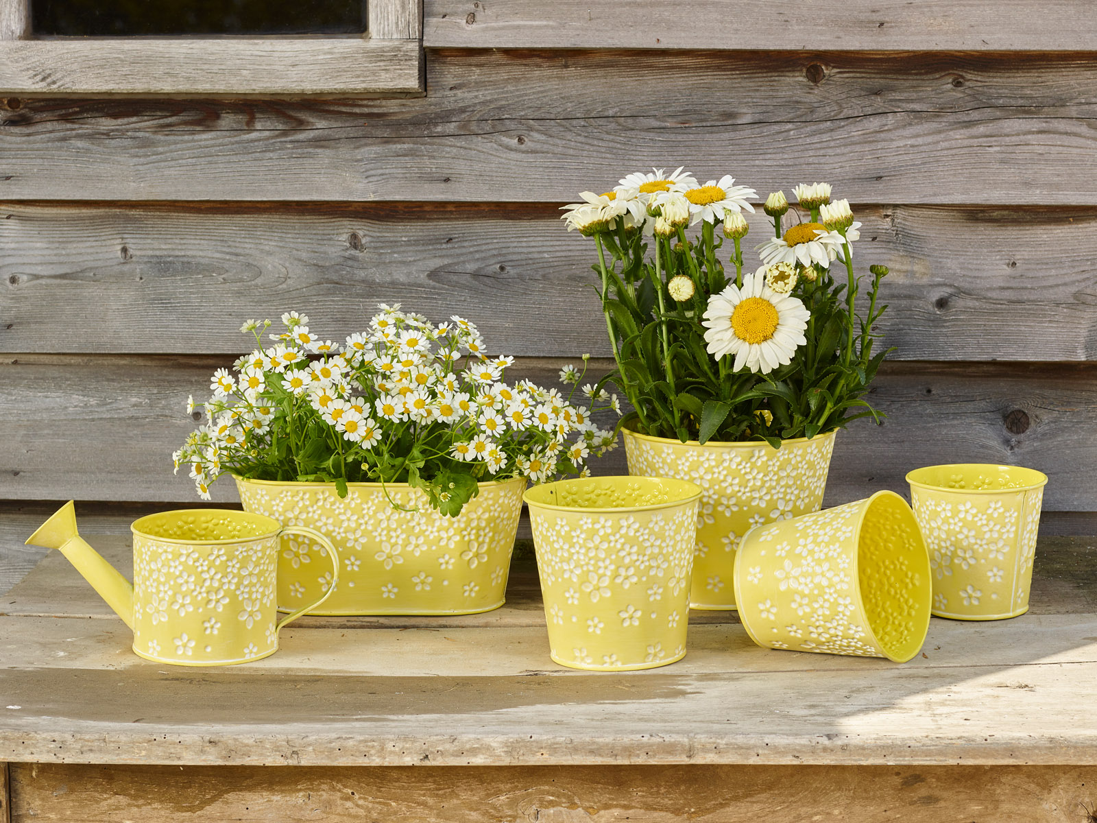 Mellow Yellow - collectie Simply D Mellow Yellow - collectie Simply D