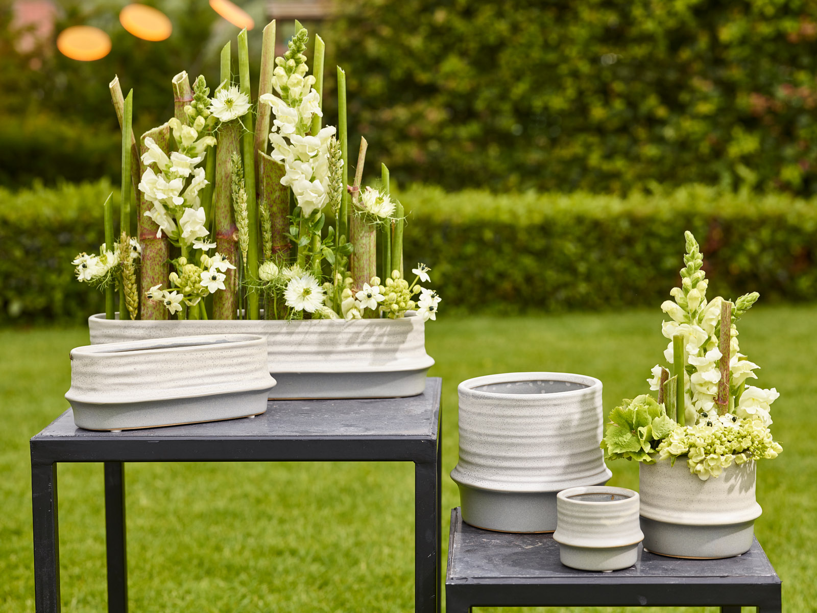 Mon jardin et moi - collectie Simply D Mon jardin et moi - collectie Simply D