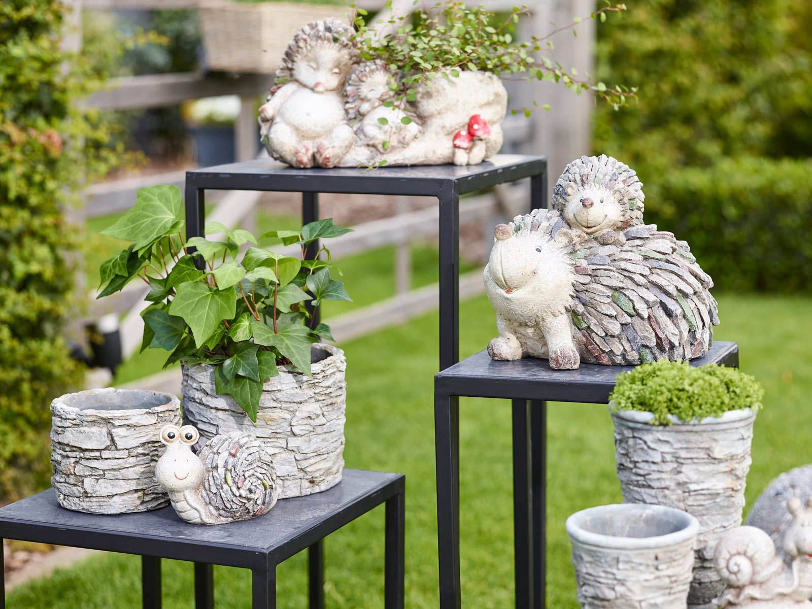 Mon jardin et moi - collectie Simply D Mon jardin et moi - collectie Simply D