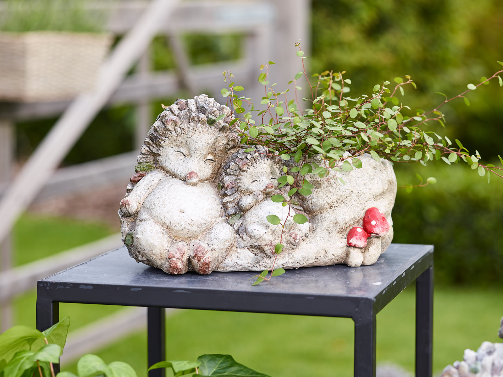 Mon jardin et moi - collectie Simply D Mon jardin et moi - collectie Simply D