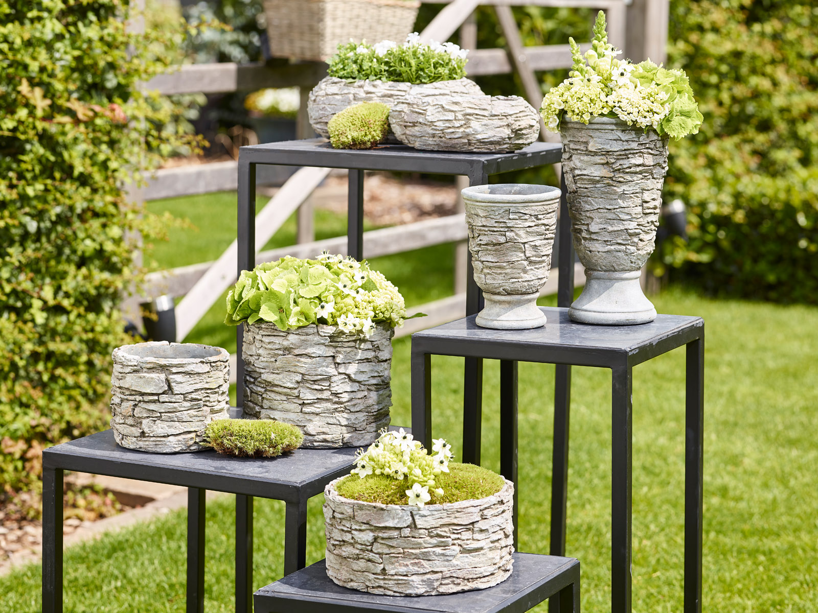Mon jardin et moi - collectie Simply D Mon jardin et moi - collectie Simply D