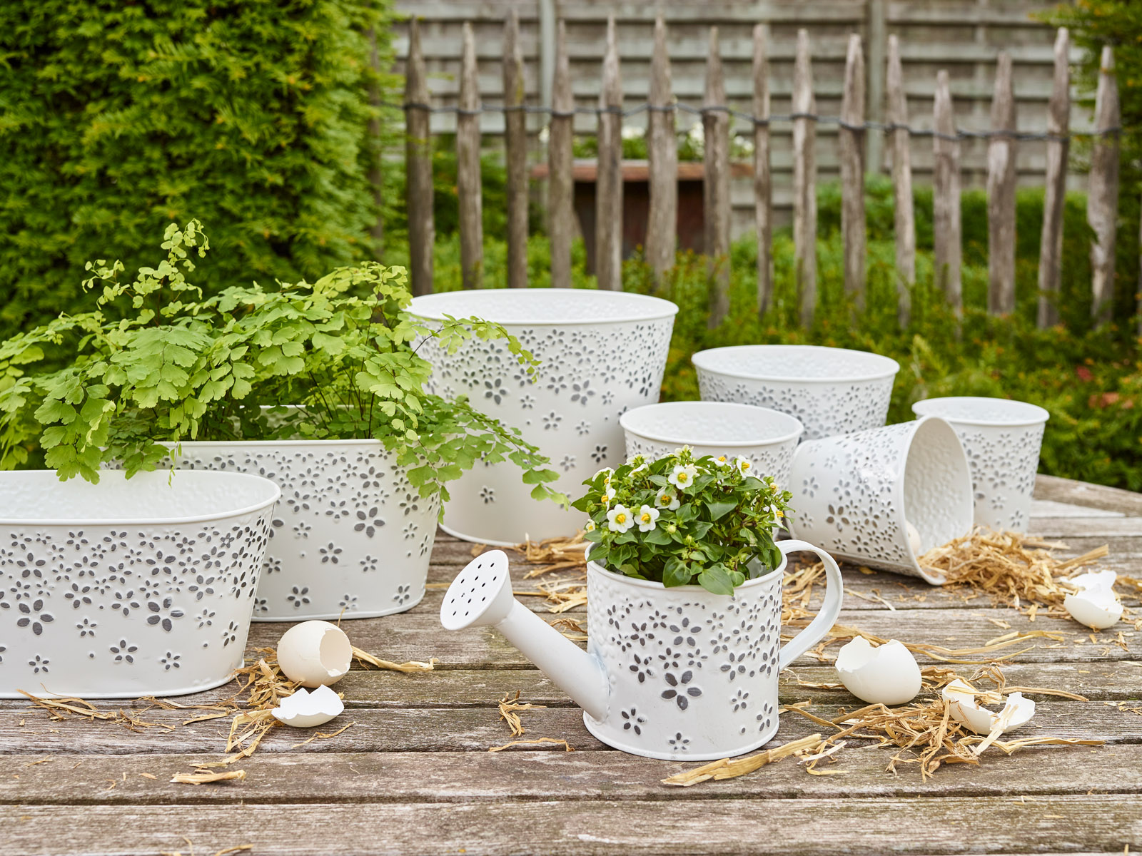 Pure Blanc - Collectie Simply D Pure Blanc - Collectie Simply D
