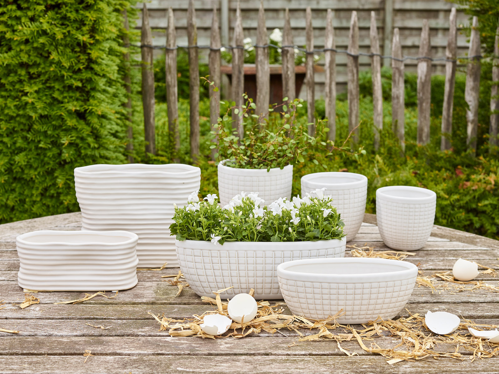 Pure Blanc - Collectie Simply D Pure Blanc - Collectie Simply D