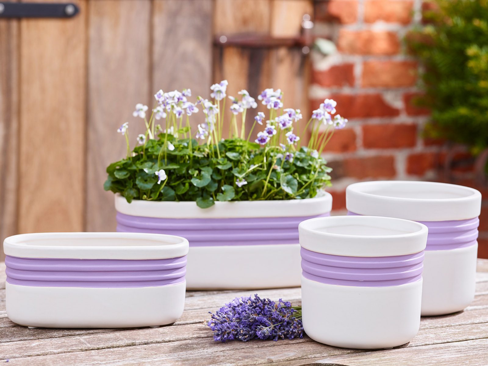 Purple Rain - Collectie Simply D Purple Rain - Collectie Simply D