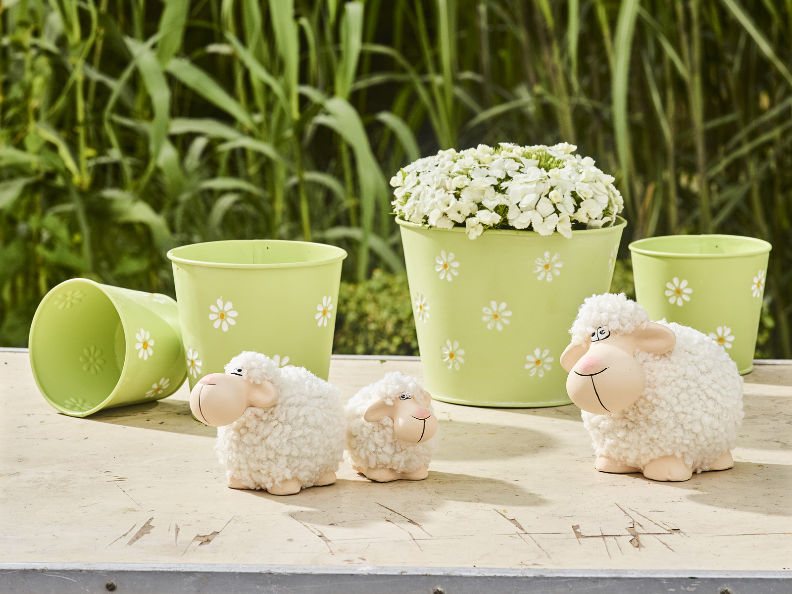 Pastel Papillon collectie - SimplyD Pastel Papillon collectie - SimplyD