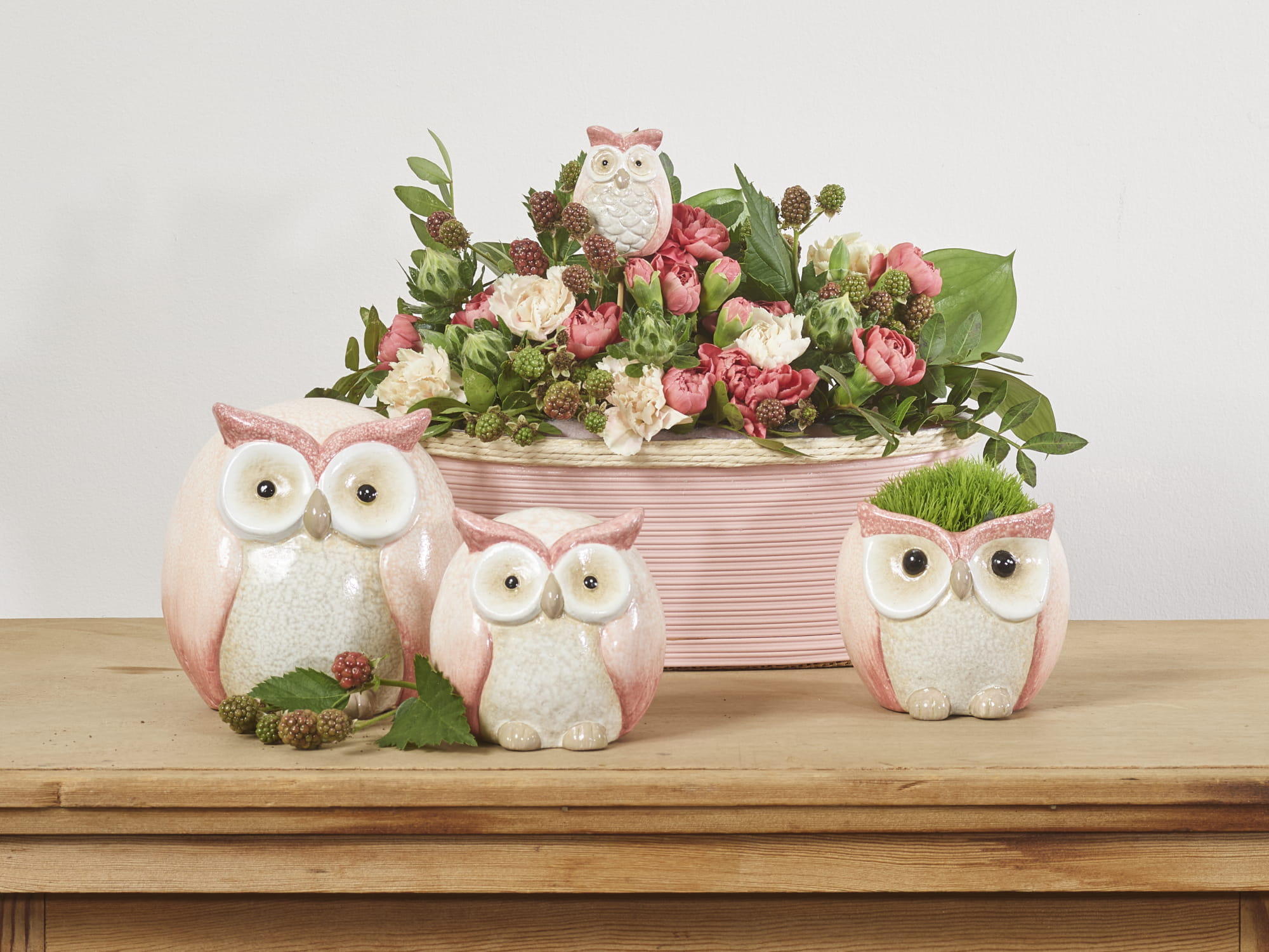 Rouge botanique collection SimplyD