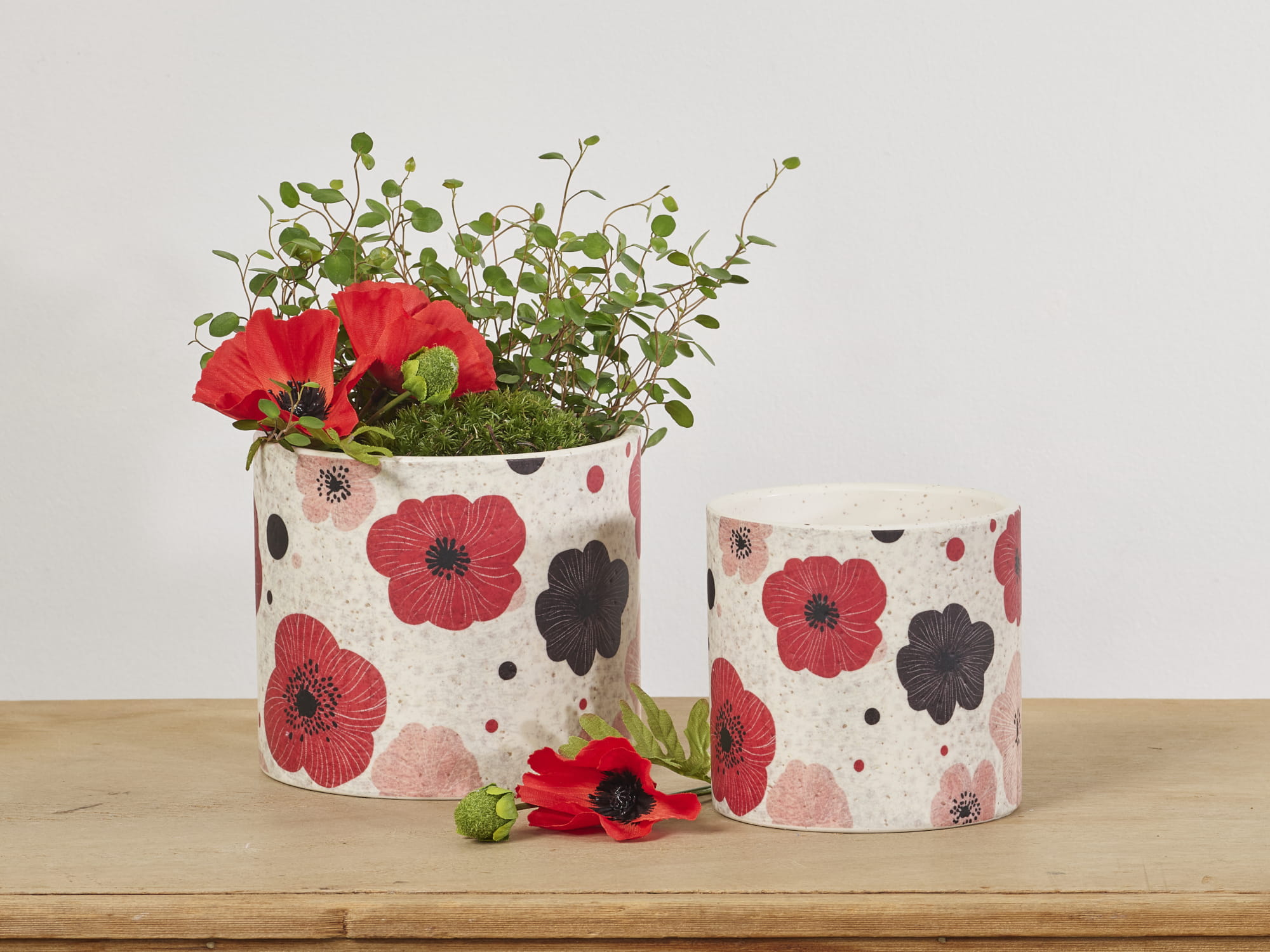 Rouge botanique collection SimplyD