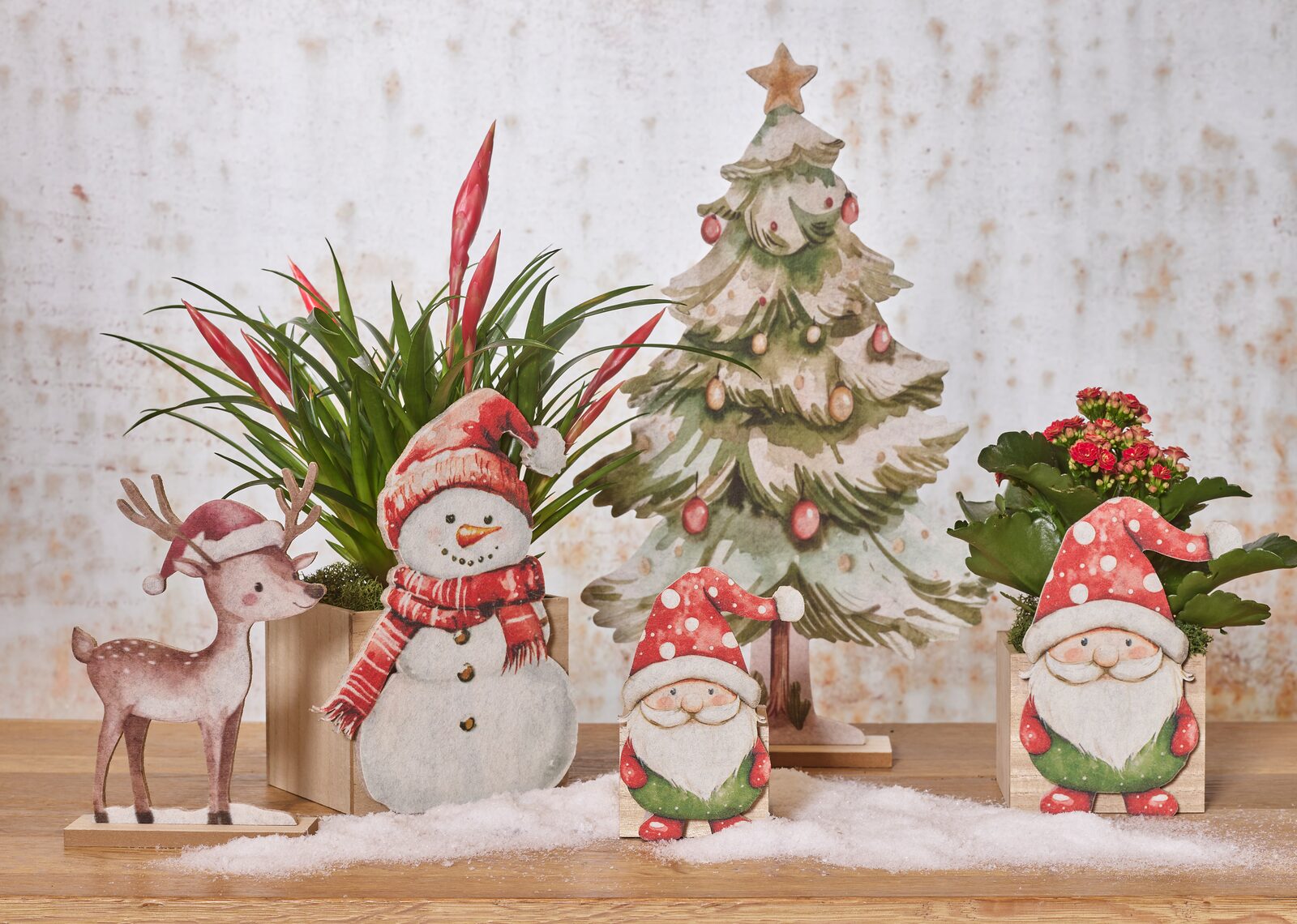 Xmas dreams