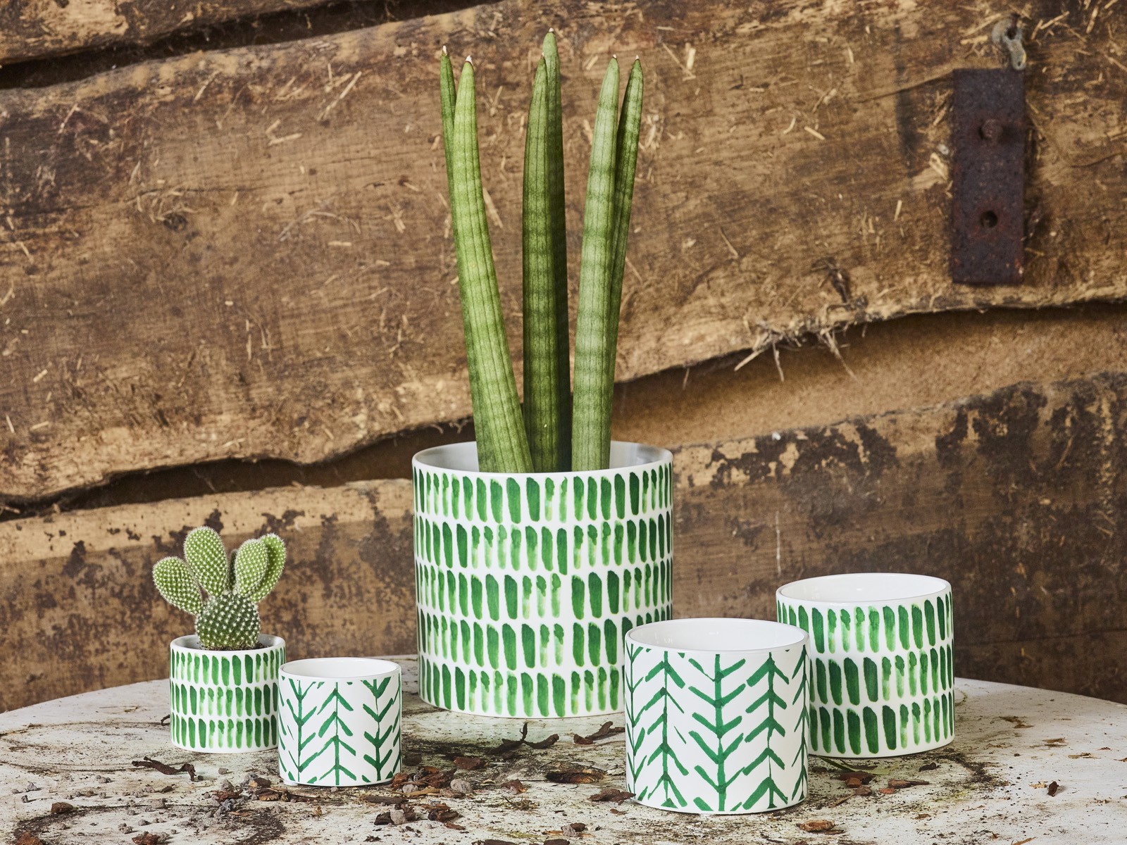 Cactus Festival collectie - SimplyD Cactus Festival collectie - SimplyD