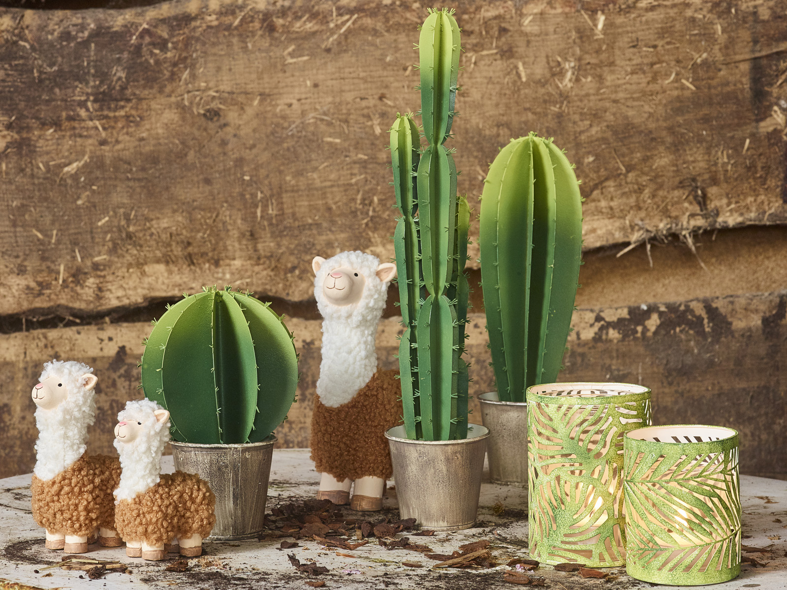 Cactus Festival collectie - SimplyD Cactus Festival collectie - SimplyD