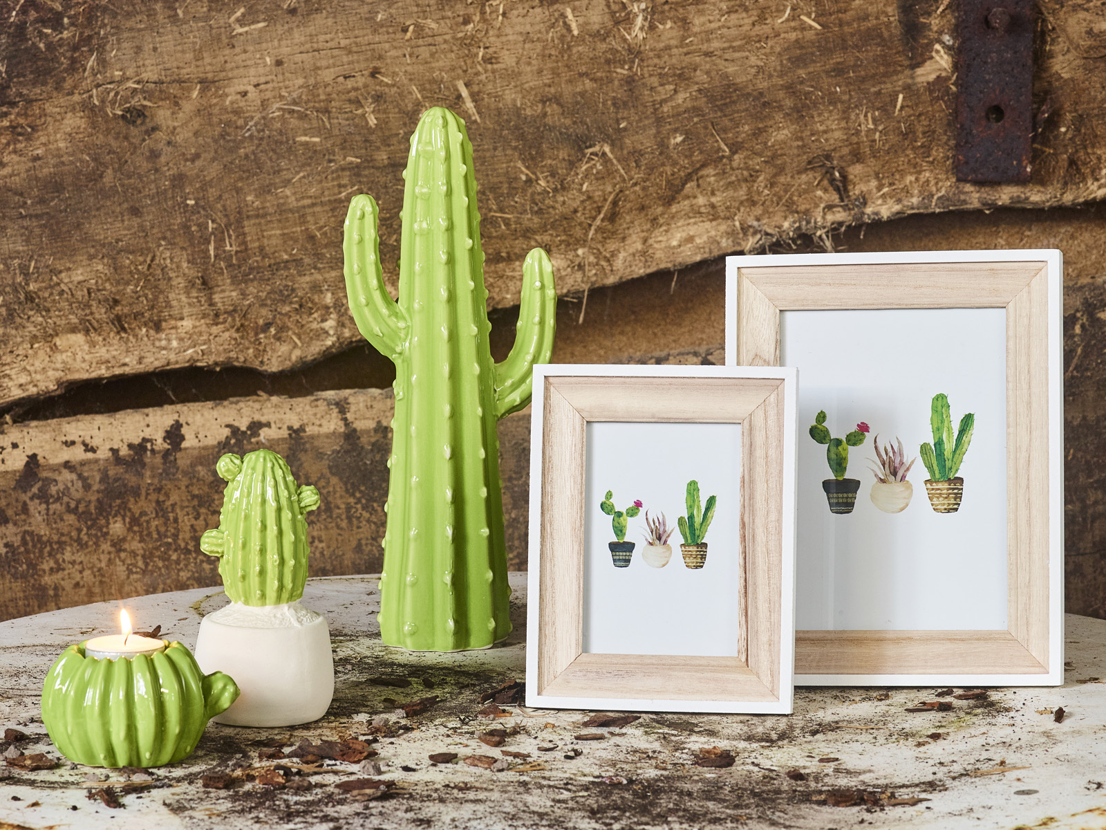 Cactus Festival collectie - SimplyD Cactus Festival collectie - SimplyD