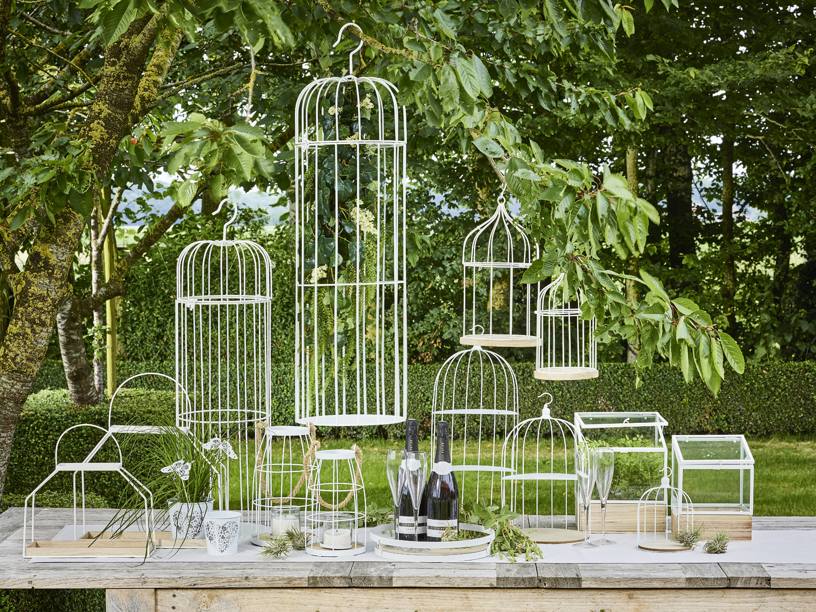 Blanc de Blancs collectie - SimplyD Blanc de Blancs collectie - SimplyD