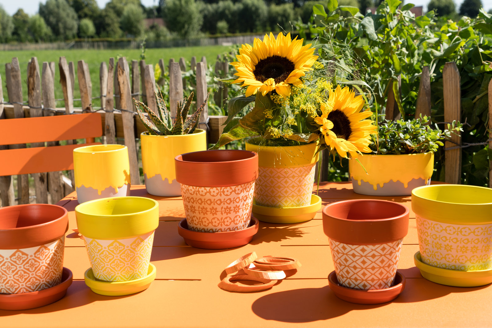 Fruitige citrus - SimplyD collectie voorjaar 2021 Fruitige citrus - SimplyD collectie voorjaar 2021