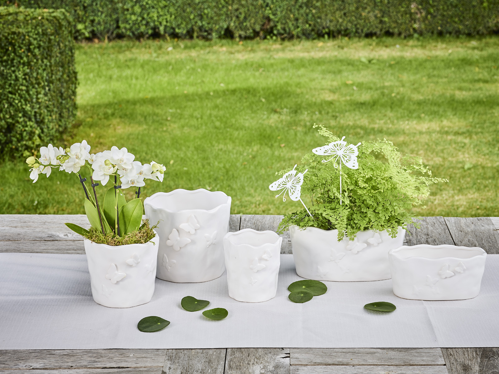 Blanc de Blancs collectie - SimplyD Blanc de Blancs collectie - SimplyD