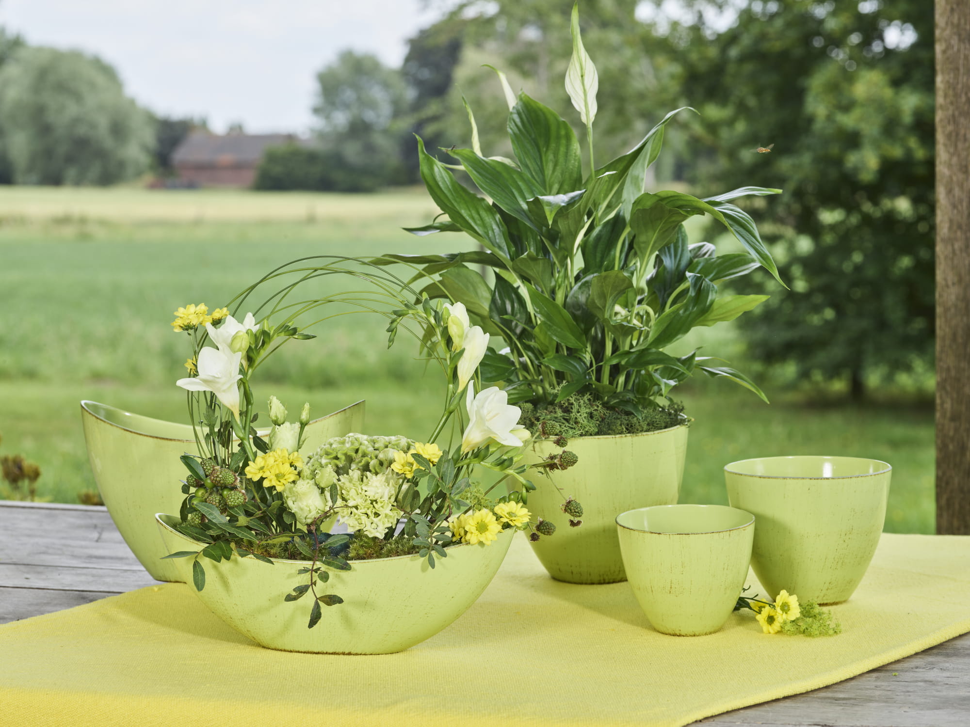 Summer – Spring Collection 2026