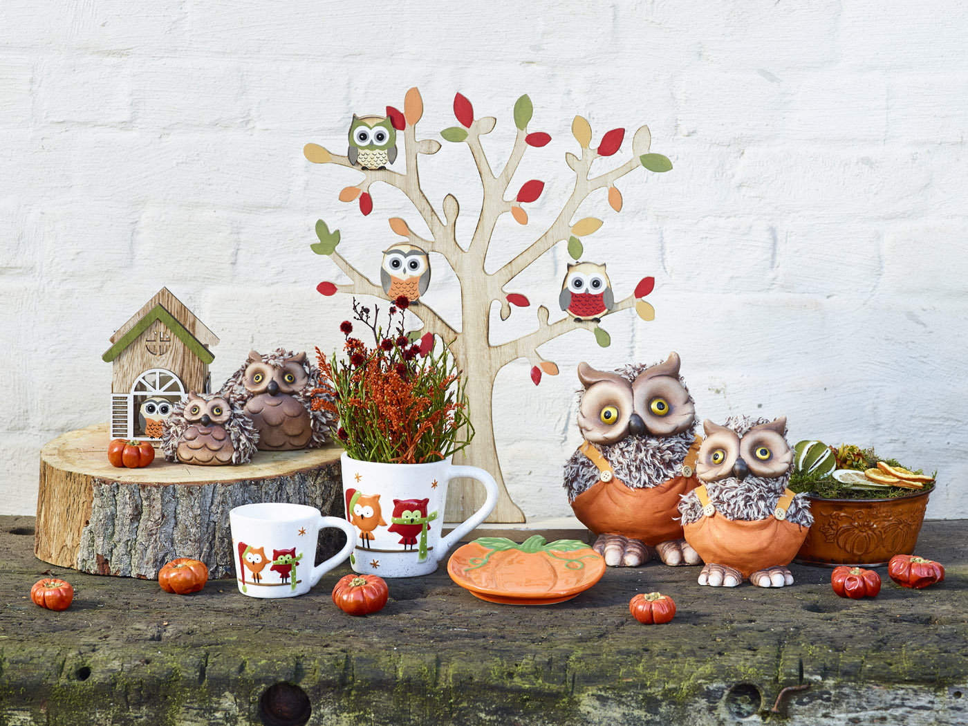 Automne Indien collection - SimplyD Automne Indien collection - SimplyD