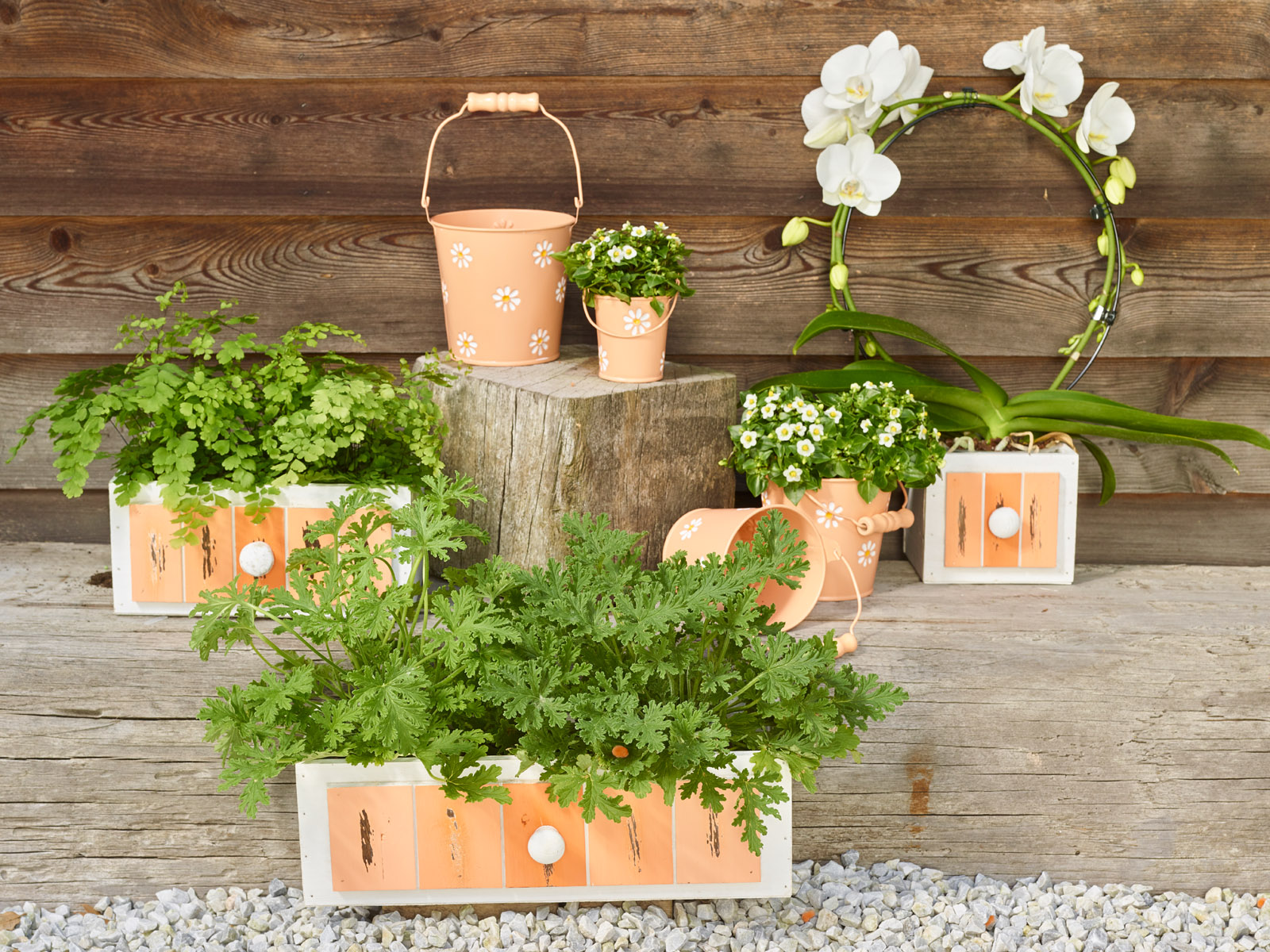 Corail vivant - Simply D collectie Corail vivant - Simply D collectie