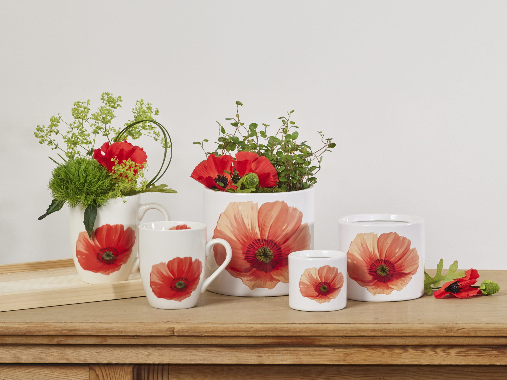 Rouge botanique collection SimplyD