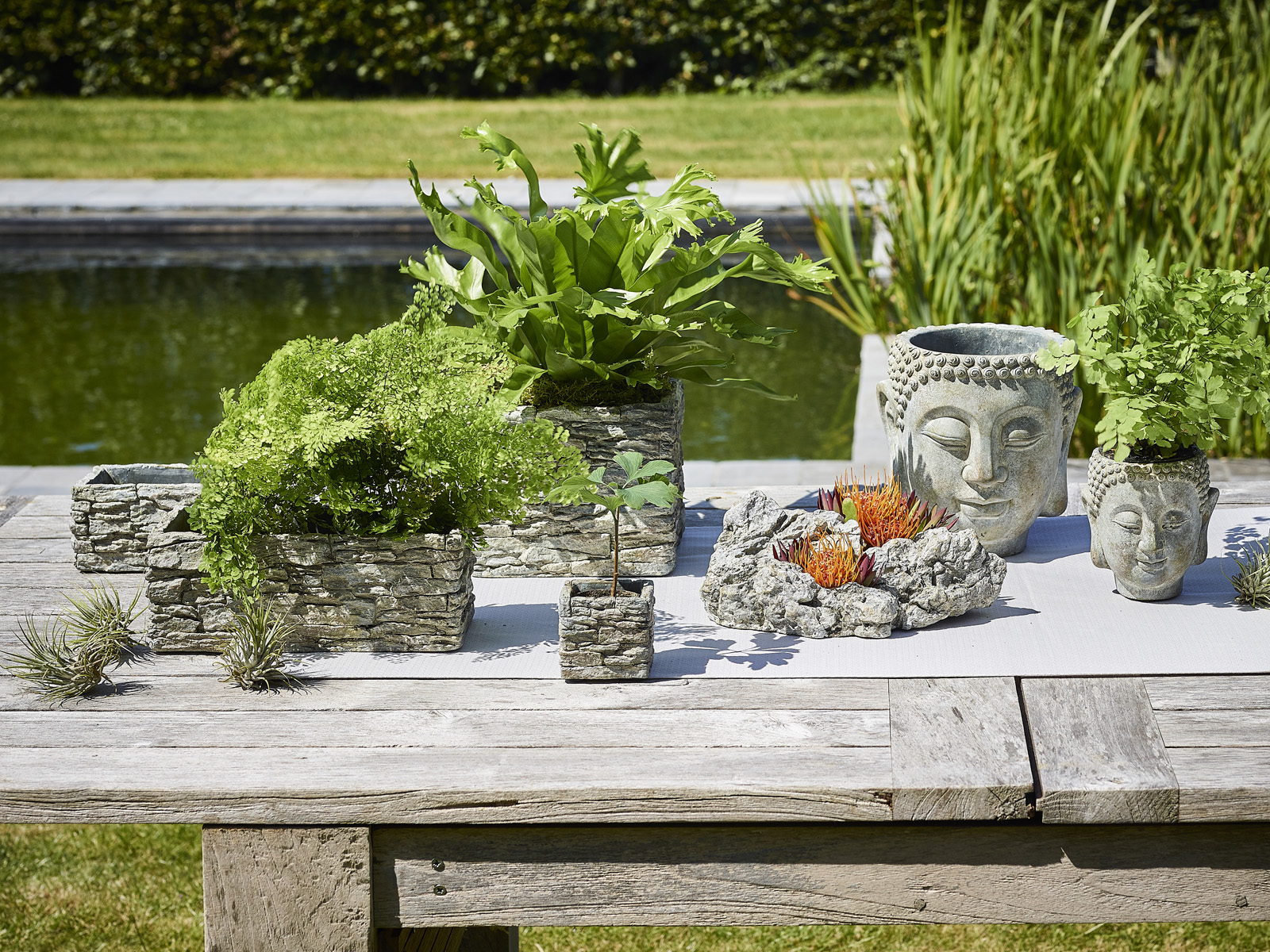 Be Zen collectie - SimplyD Be Zen collectie - SimplyD