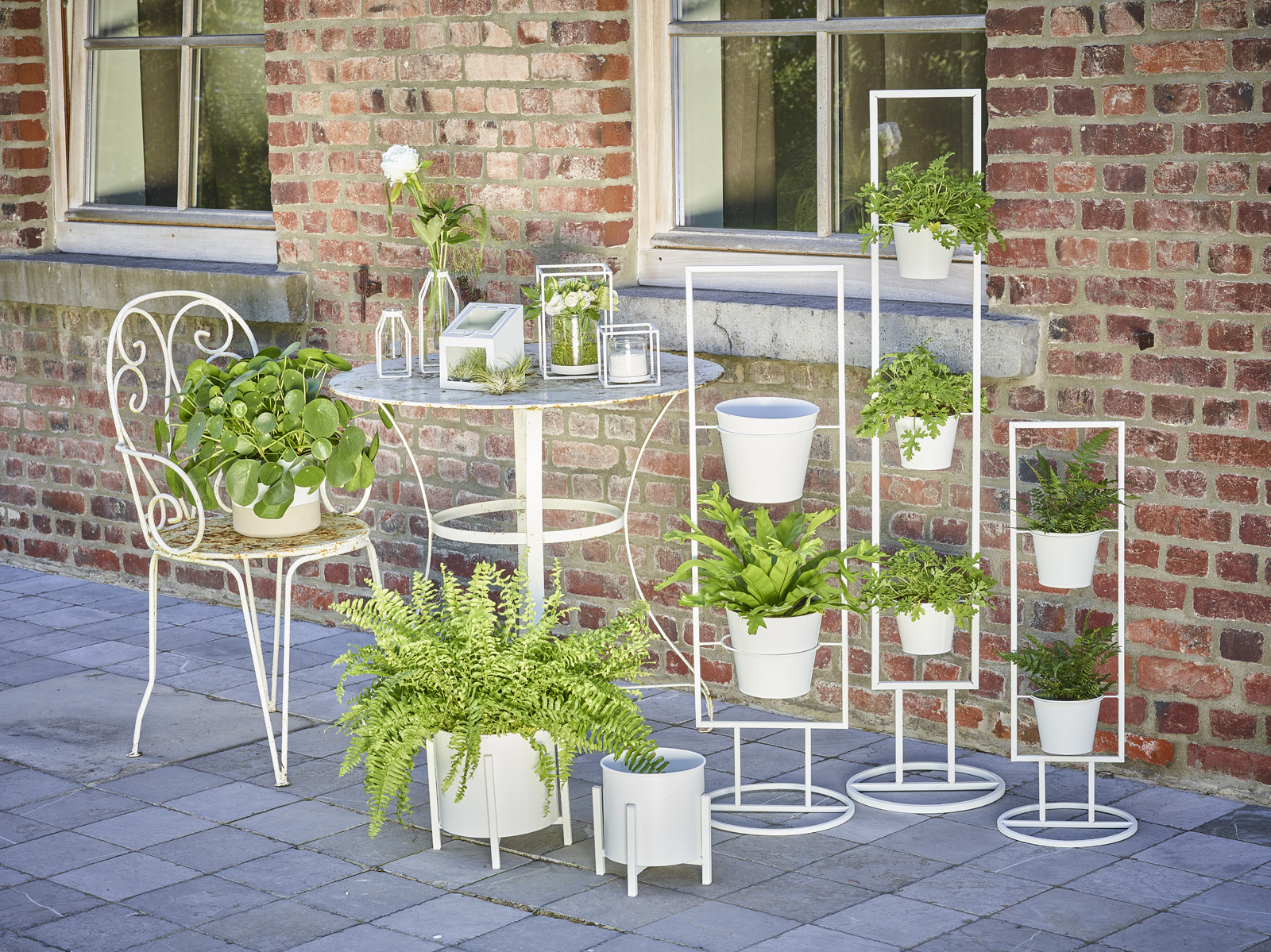 Blanc de Blancs collectie - SimplyD Blanc de Blancs collectie - SimplyD