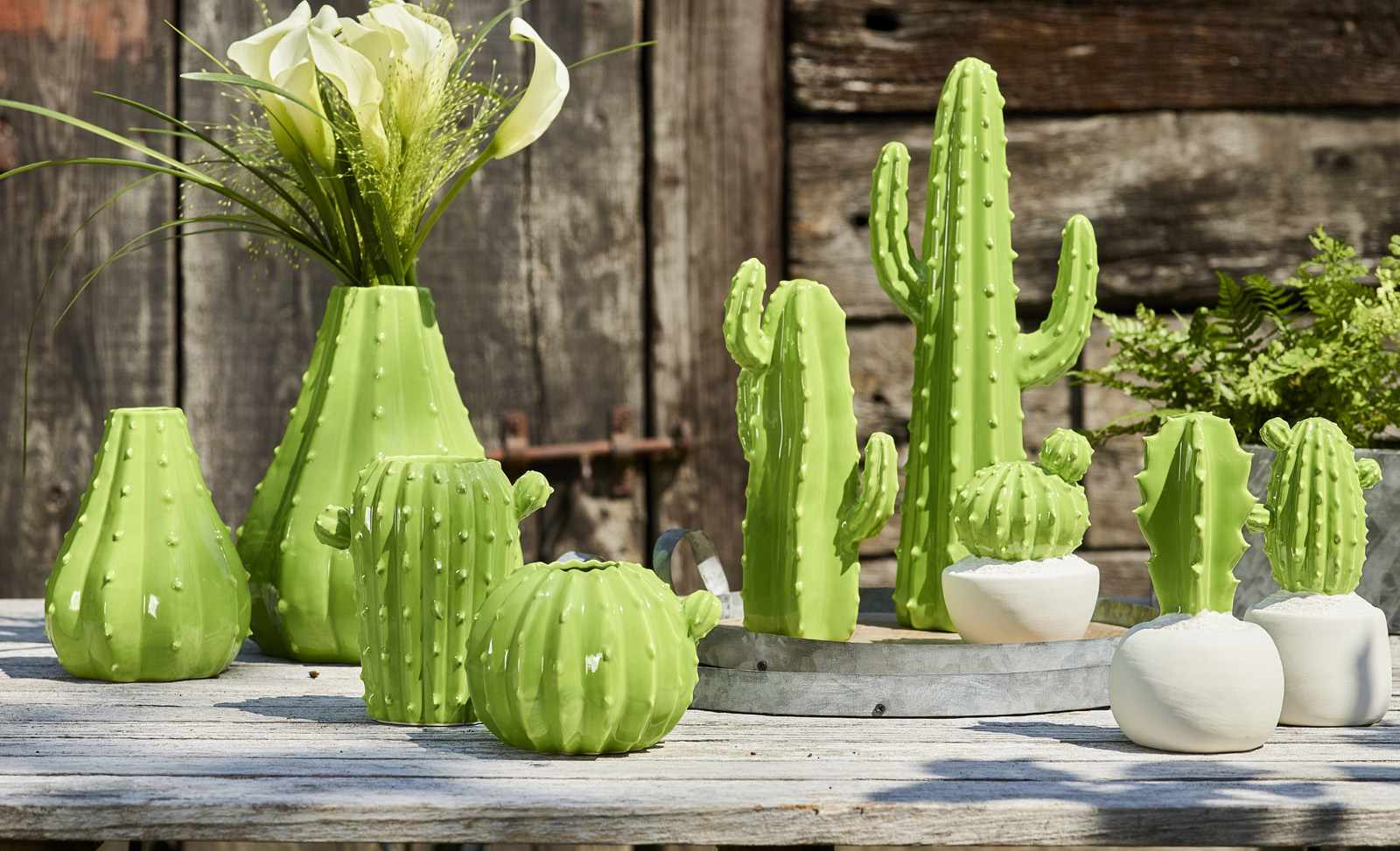 Cactus Festival collectie - SimplyD Cactus Festival collectie - SimplyD